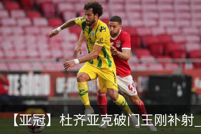【亚冠】杜齐亚克破门王刚补射 国安2比2全北