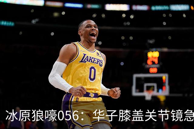 冰原狼嚎056：华子膝盖关节镜急需手术 请问明天和意外哪个先来？