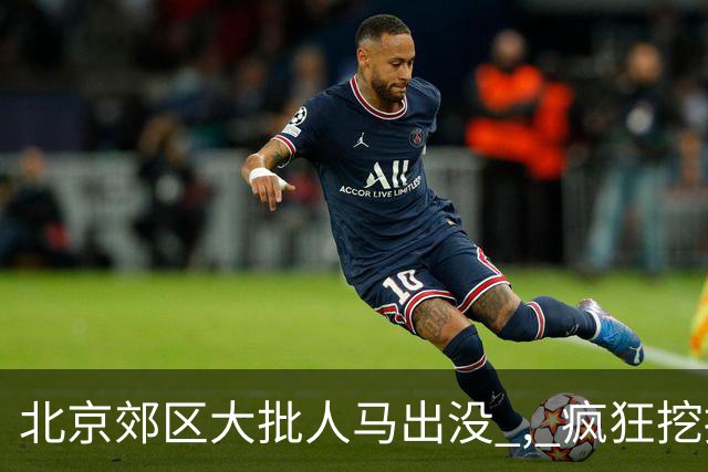 北京郊区大批人马出没 , 疯狂挖掘神秘“黑疙瘩” , 因滥采已岌岌可危