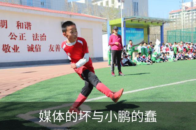 媒体的坏与小鹏的蠢