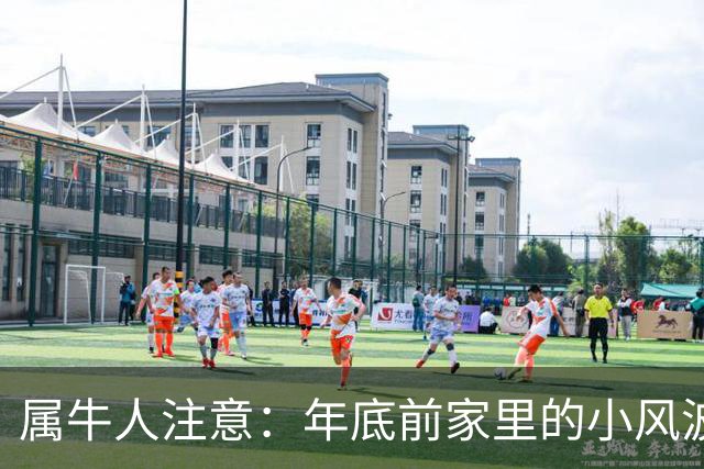 属牛人注意：年底前家里的小风波，其实是亲家关系升温的好兆头