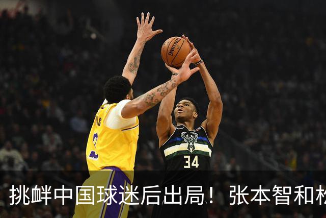 挑衅中国球迷后出局！张本智和松岛辉空太累了？日媒：该向中国队学习