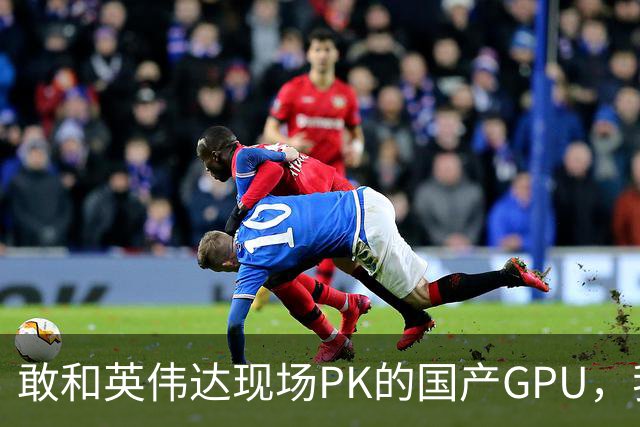 敢和英伟达现场PK的国产GPU，我是服的