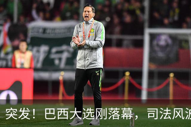 突发！巴西大选刚落幕，司法风波接踵而至：小博索纳罗被禁出境
