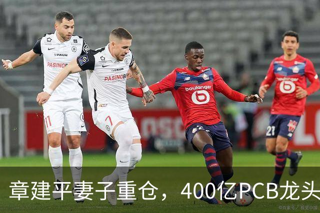 章建平妻子重仓，400亿PCB龙头封死涨停