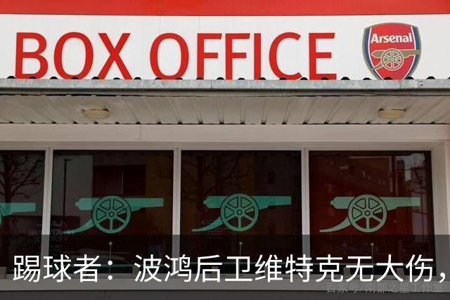 踢球者：波鸿后卫维特克无大伤，仅伤口需处理