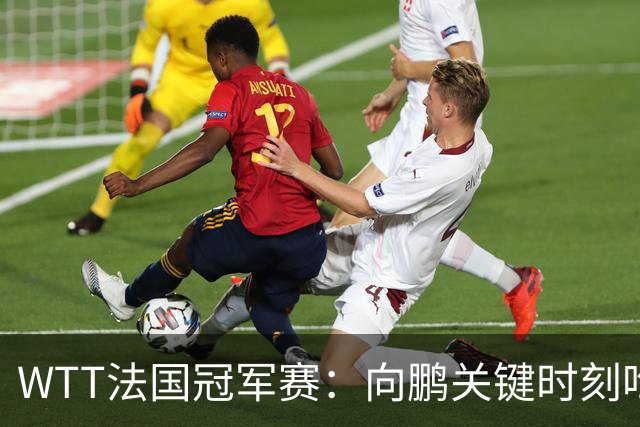 WTT法国冠军赛：向鹏关键时刻吃俩发球，2-3惜败不敌老将奥恰洛夫